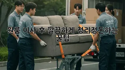 원룸 이사 후, 깔끔하게 정리정돈하는 꿀팁!