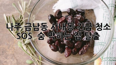 나주 금남동, 서내동 긴급 청소 SOS! ✨ 숨 막히는 집 탈출 💨